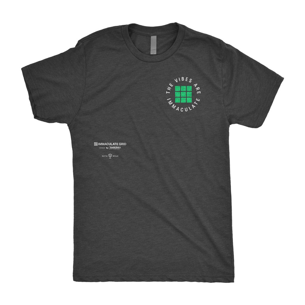 The Vibes Are Immaculate T-Shirt